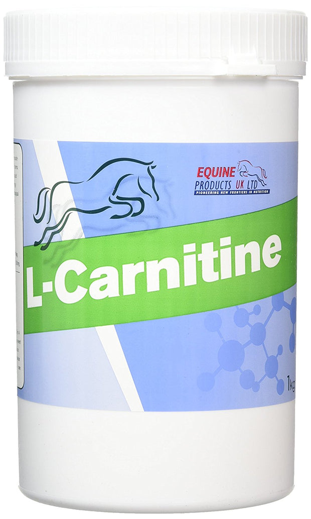 L-Carnitine SUPPLEMENTS