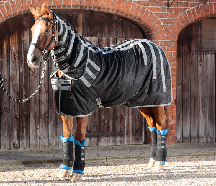 Magnetic Horse Rug | Specialised Horse Treatments | PEI