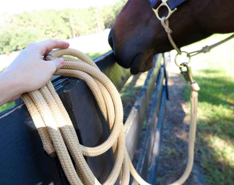 Lee Roots Bridon Ropes lead-ropes_1200x630.jpg?v=1564832838