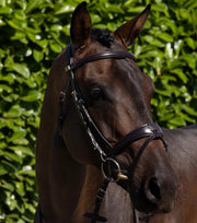 PEI Artana Anatomical Snaffle Bridle