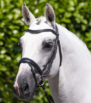 PEI Cassano Snaffle Bridle