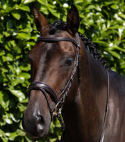 PEI Cassano Snaffle Bridle