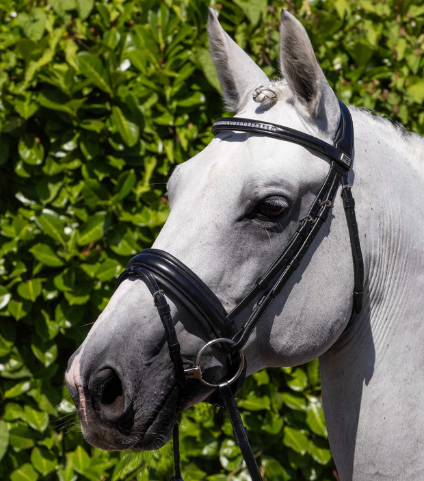 PEI Castello Italia Line Anatomic Bridle