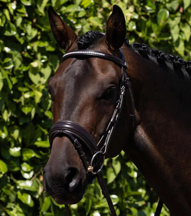 PEI Castello Italia Line Anatomic Bridle