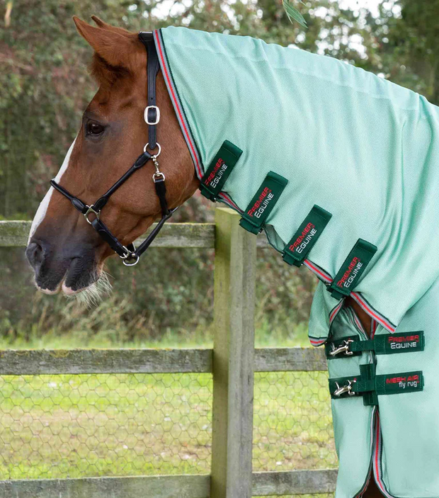 Premier Equine Combo Mesh Air Fly Rug (Mint Green)