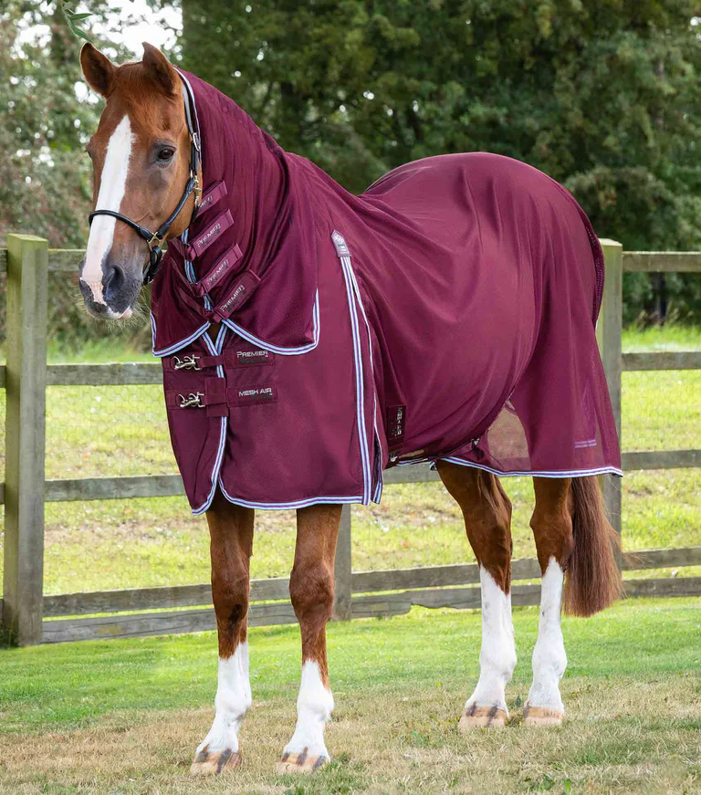 https://equestri-online.com/cdn/shop/files/Combo-Mesh-Air-Fly-Rug-with-Surcingles-Wine-1_768x_7cda201e-6d21-42f2-a72c-9cceb333040a.png?v=1687396206