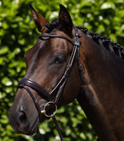 PEI Finetti Rolled Leather Snaffle Bridle