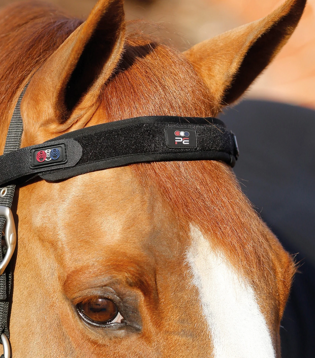 PEI Magni-Teque Magnetic Browband