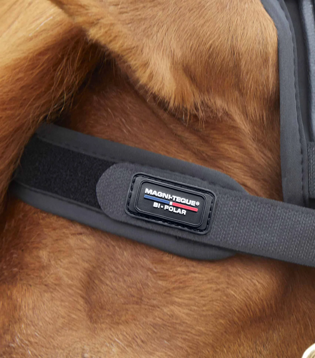 PEI Magni-Teque Magnetic Browband