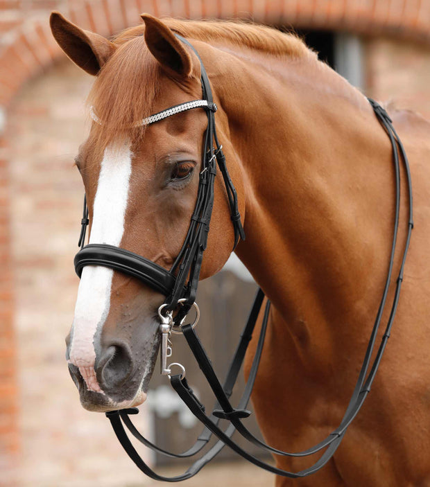 PEI Matteo Leather Grip Reins