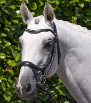 PEI Palazzo Anatomical Bridle