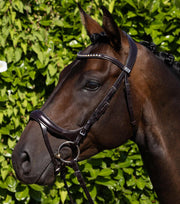 PEI Palazzo Anatomical Bridle