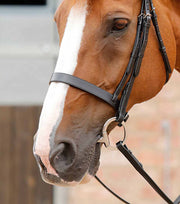 PEI Primo Hunter Cavesson Noseband