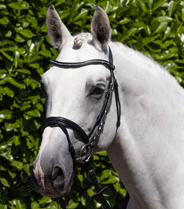 PEI Rivere Snaffle Bridle