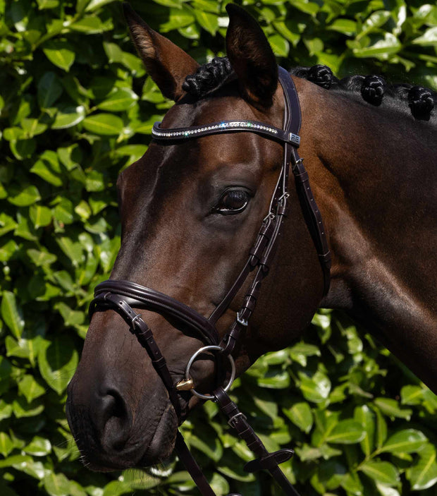 PEI Rivere Snaffle Bridle