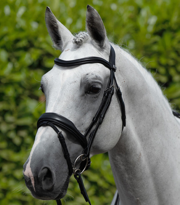 PEI Rizzo Anatomical Snaffle Bridle