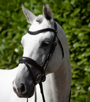 Bridle Parts - Anatomical Flash Noseband (PEI)