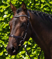 PEI San Paolo Anatomical Bridle