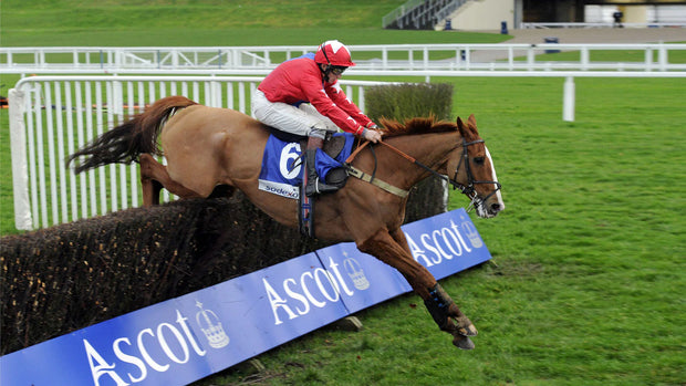 PEI Air Cooled Super Lite Carbon Tech Eventing/Racing Boots Front - Black