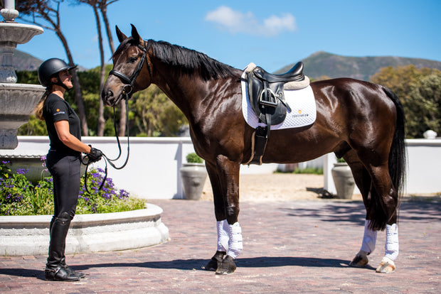 Equilibrium - Stretch & Flex Training Wraps