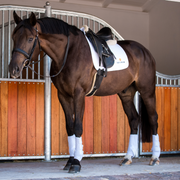 Equilibrium - Stretch & Flex Training Wraps