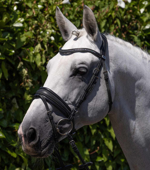 PEI Veneto Anatomical Snaffle Bridle