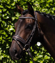 PEI Veneto Anatomical Snaffle Bridle