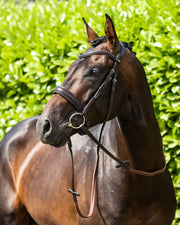 PEI Verdura Anatomic Snaffle Bridle