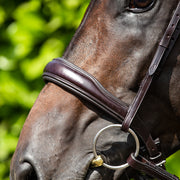 PEI Verdura Anatomic Pony Bridle