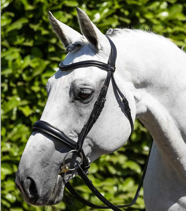 PEI Verdura Anatomic Snaffle Bridle