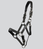 Corda Padded Head Collar with Lead Rope - Black