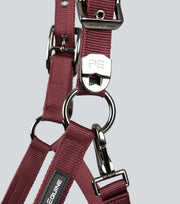 Corda Padded Head Collar with Lead - Burgundy