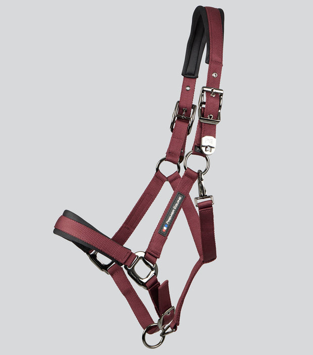 Corda Padded Head Collar with Lead - Burgundy