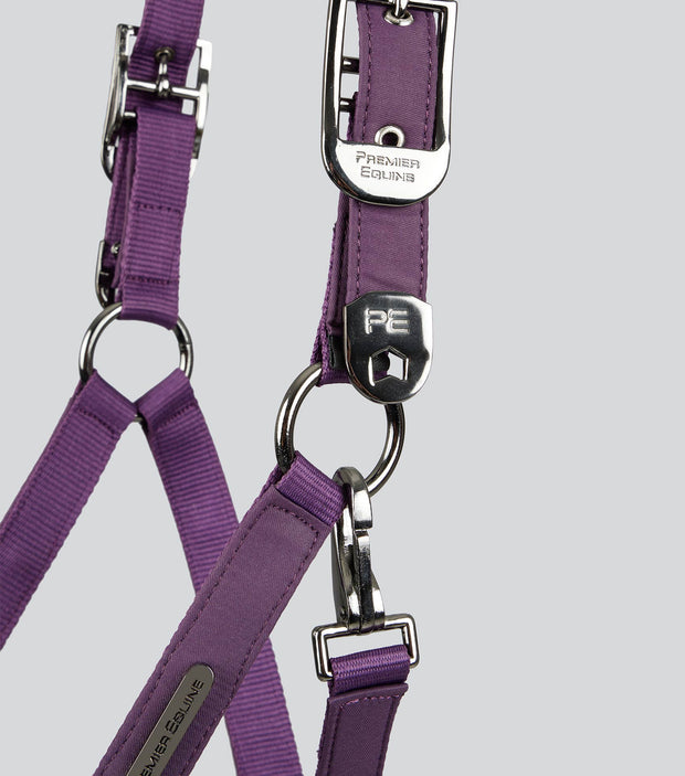 Duco Padded Head Collar with Lead - Purple