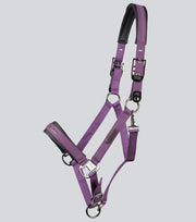 Duco Padded Head Collar with Lead - Purple