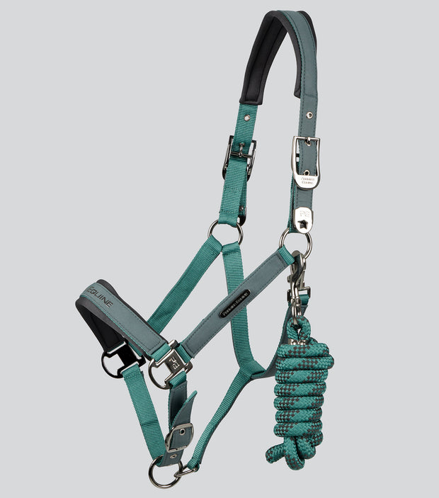 Duco Padded Head Collar with Lead - Green