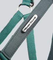 Duco Padded Head Collar with Lead - Green