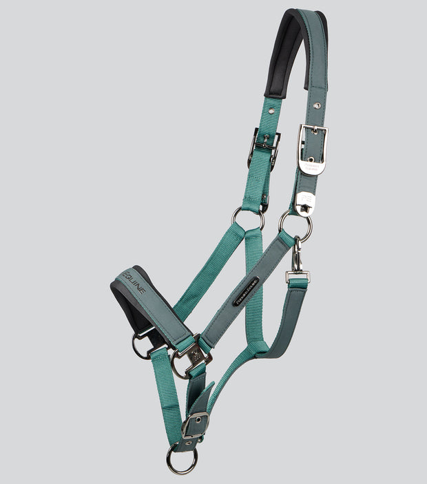 Duco Padded Head Collar with Lead - Green