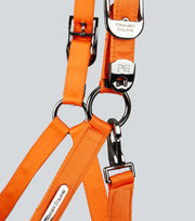 Duco Padded Head Collar with Lead - Orange