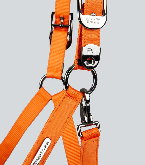 Duco Padded Head Collar with Lead - Orange