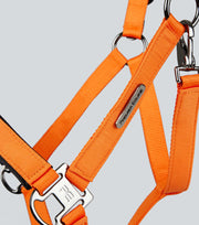 Duco Padded Head Collar with Lead - Orange