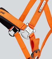 Duco Padded Head Collar with Lead - Orange