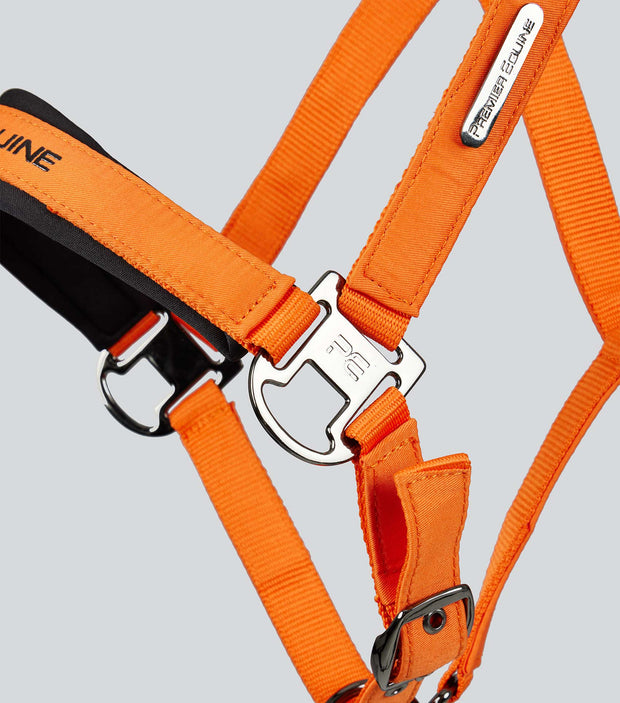 Duco Padded Head Collar with Lead - Orange