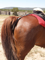 Crupper Saddle Accessories