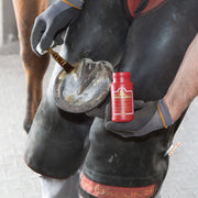 Kevin Bacon's Hoof Solution HOOF CARE