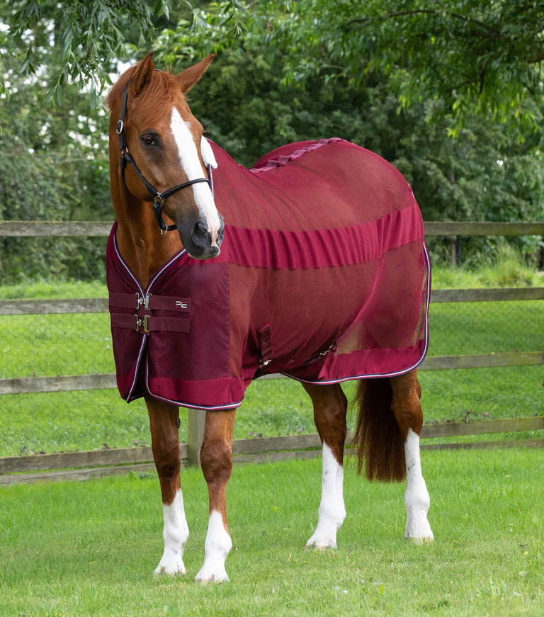 for sale with 100% quality guaranteed Premier Equine Premtex Cooler Rug