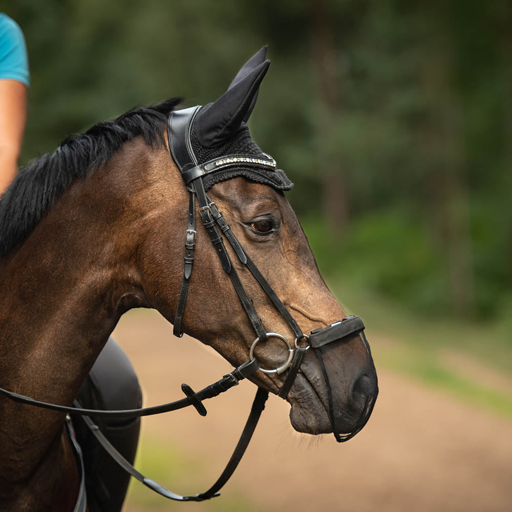 Horse muzzle clearance net