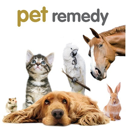 Pet Remedy Calming Wipes (100 sachets) SHOW PREPARATION