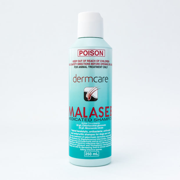 Malaseb Medicated Shampoo (250ml) FIRST AID