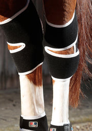 PEI Bi-Polar Magnetic Hock Boots LEG PROTECTION